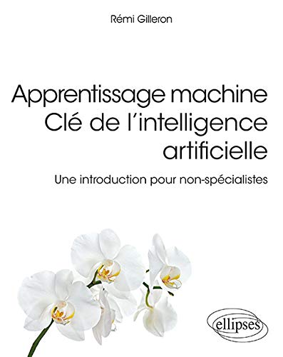 Apprentissage machine - Clé de l'intelligence artificielle - Une introduction pour non-spécialistes