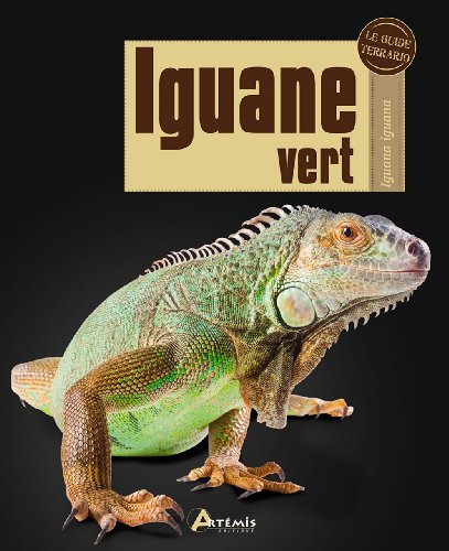 Iguane vert (0)