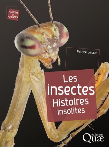 Les insectes: Histoires insolites.