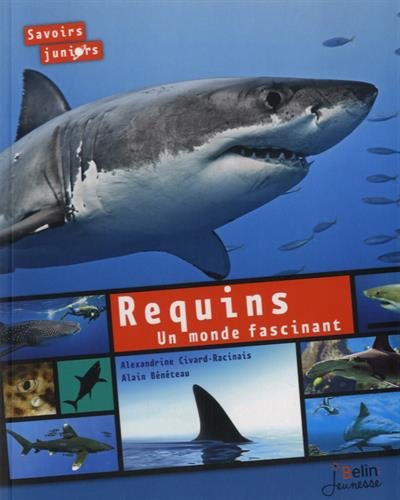 Requins: Un monde fascinant