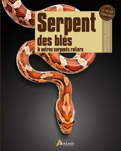 Serpent de blés et autres serpents ratiers