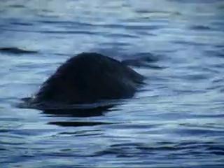 Le mystère du Loch Ness