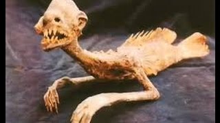Des extraterrestres retrouvés à travers le monde