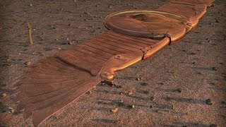 Géants, extraterrestres, annunakis