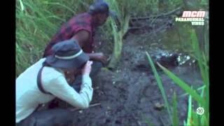 La créature des marais