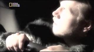 Les Ovni en europe - Les cheveux d'ange