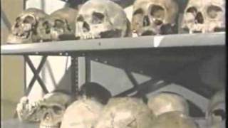 Créatures étranges -  fantasme ou réalité