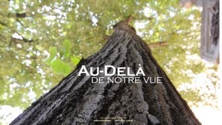 Au-delà de notre vue