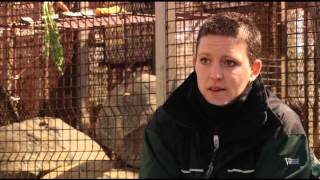 Humanima : le juste retour