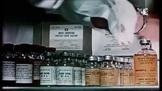 Un village empoisonné par la CIA ? Pont-Saint-Esprit 1951