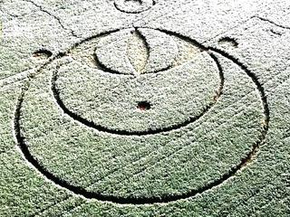 Le mystère des crop circles