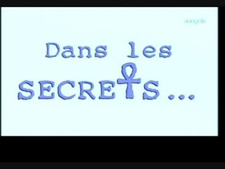 Documentaire Dans les secrets… des scientifiques