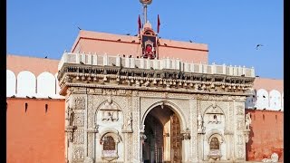 Le temple des rats sacrés