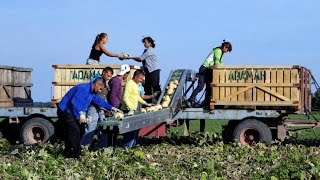 Documentaire Le ventre de Vienne