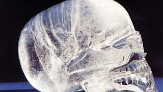 La mécanique quantique du cerveau