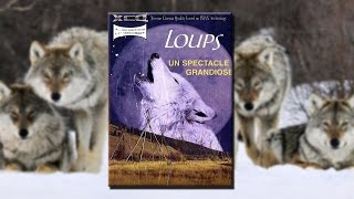 Le loup, un spectacle grandiose