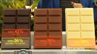 C’est pas sorcier – Les secrets du chocolat