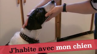 J'habite avec mon chien