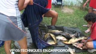 Pêche au coup à la bolognaise avec Gérard Trinquier