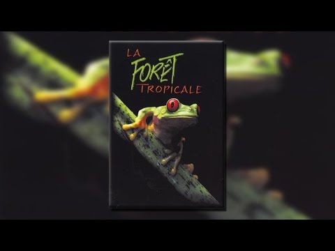 Documentaire La forêt tropicale