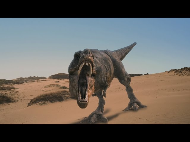 Documentaire L’épopée des dinosaures : le tyrannosaurus rex