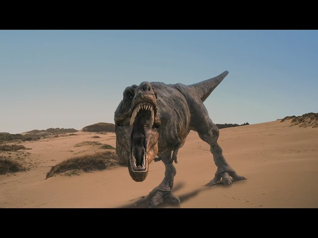 L'épopée des dinosaures : le tyrannosaurus rex