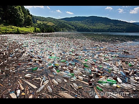 L'équilibre de la vie : la pollution - l'écologie