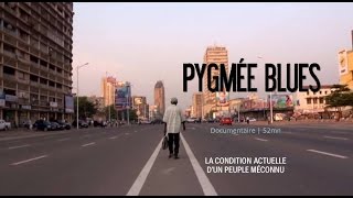 Documentaire Pygmée Blues