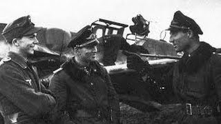 Les as de la Luftwaffe