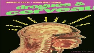Drogues et cerveau - Hallucinogènes et ecstasy