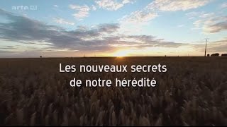 Les nouveaux secrets de notre hérédité