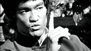 Bruce Lee, a warrior's journey
