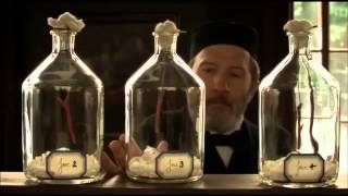 Pasteur, portrait d'un visionnaire