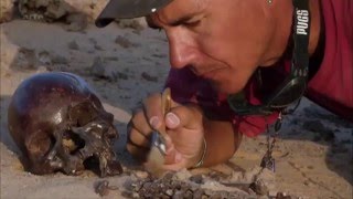 Documentaire Squelettes du Sahara