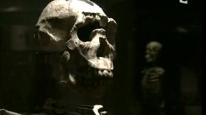 La théorie de Darwin
