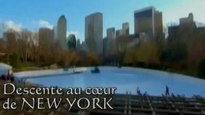 Descente au coeur de New York