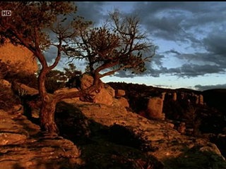 Wyatt Earp - Un Justicier du Far West