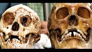Documentaire L’évolution de l’espèce humaine – L’homme préhistorique