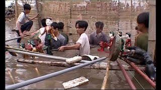 Les marionnettes sur l'eau, une tradition du Vietnam