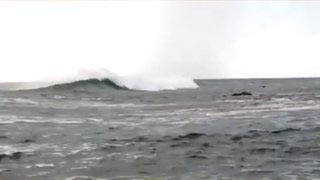 Rapanui - L'histoire cachée de l'île de Pâques