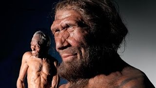 L'évolution de l'espèce humaine