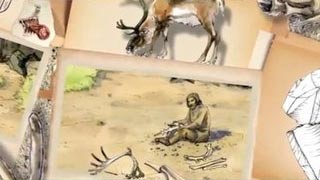 Homo sapiens, l'homme moderne