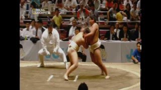 Documentaire Enfants sumo