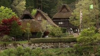 Japon, le retour aux sources
