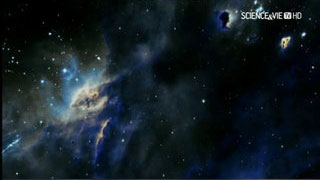 Les forces de l'univers