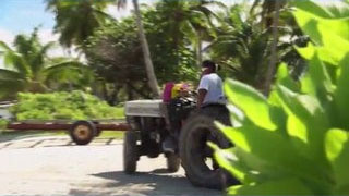 Le vin de l'atoll : les vignerons de Rangiroa