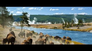 Documentaire Mysterieuse disparition au Yellowstone
