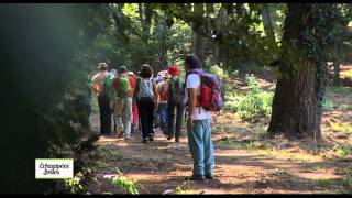 Documentaire Echappées belles – Toscane, intensément