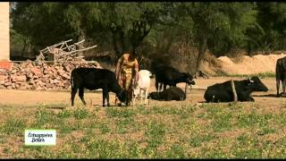 Échappées belles – Inde, Rajasthan