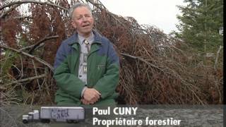 Documentaire C’est pas sorcier –  Bois, hêtre ou ne pas hêtre